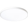 Светильник светодиодный декоративный JAZZWAY PPB OPAL 36Вт 4000К WH d300X55 IP20 настенно-потолочный бытовой 5060845